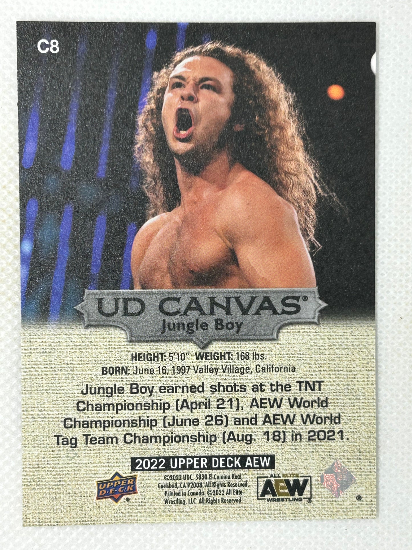 2022 Upper Deck AEW Jungle Boy UD Canvas #C8