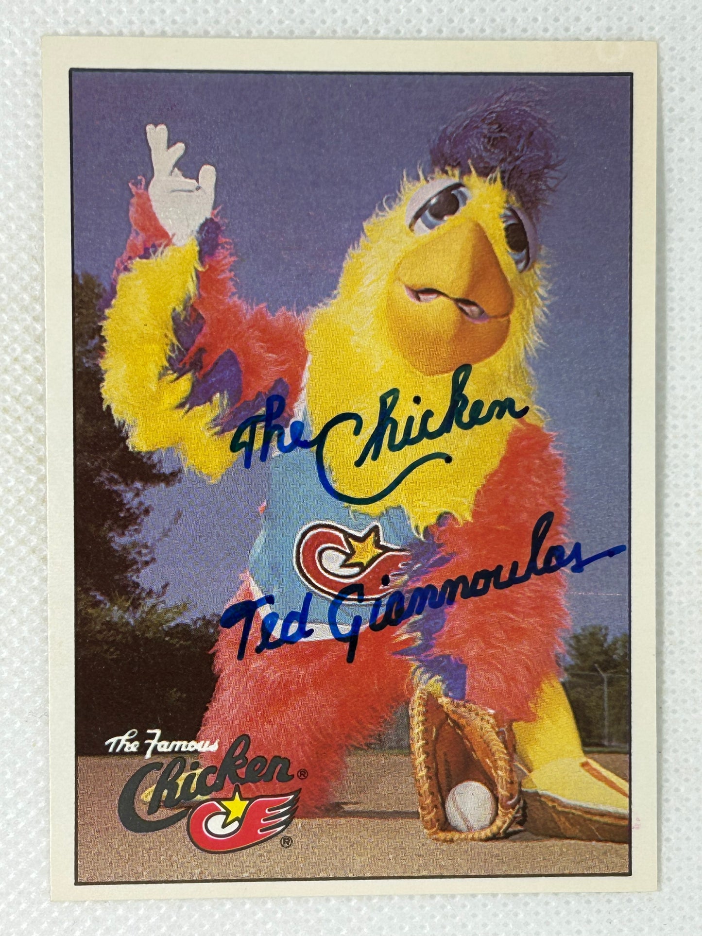 1984 Donruss San Diego Chicken Baseball Card #651 Signed Card