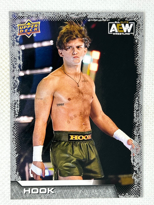 2022 Upper Deck AEW All Elite Wrestling Hook #80