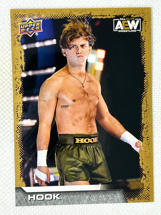 2022 Upper Deck AEW All Elite Wrestling Gold Hook #80